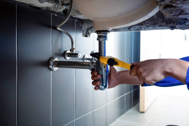 Best Plumbing System Maintenance  in Troy, TN